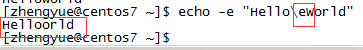 bash的echo命令