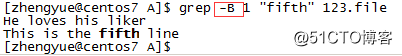 Linux基本操作之grep
