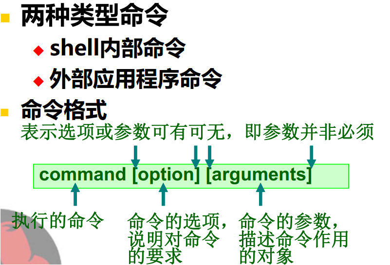 linux常用命令与基本管理