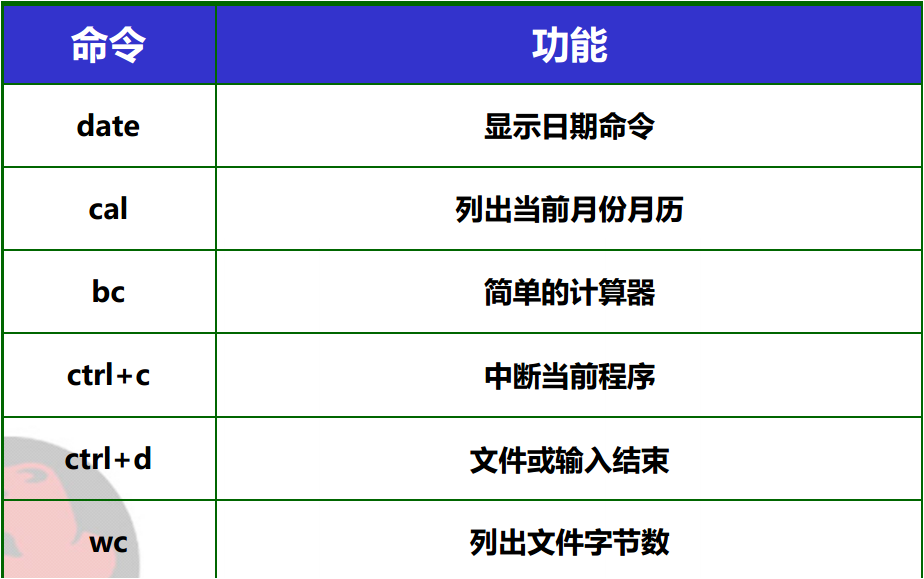 linux常用命令与基本管理