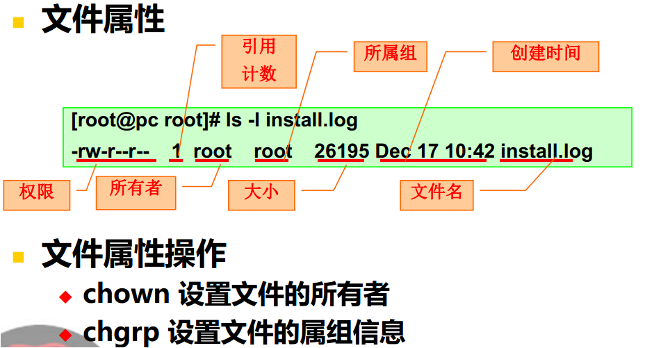 linux常用命令与基本管理