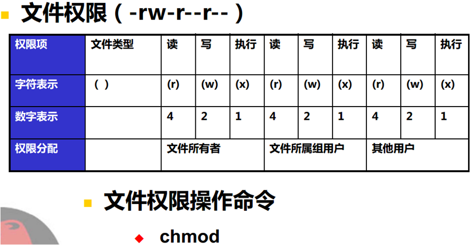 linux常用命令与基本管理