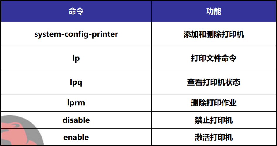 linux常用命令与基本管理