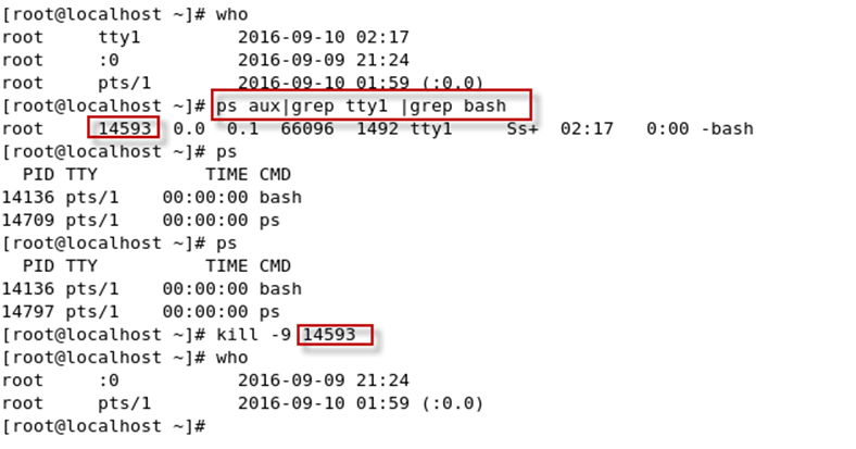 linux常用命令与基本管理