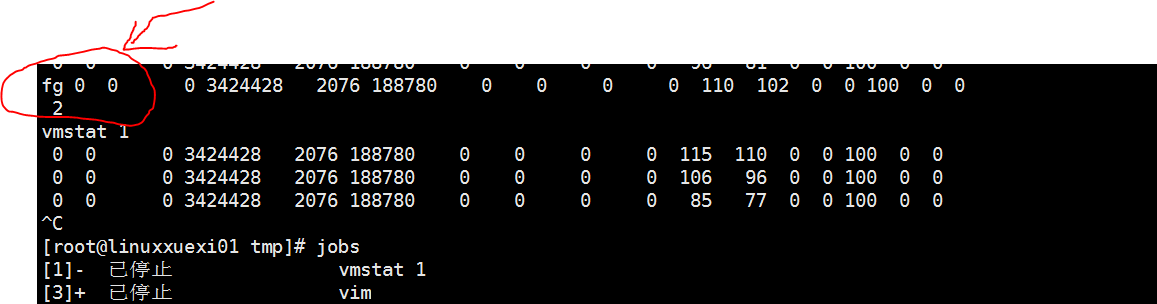 Linux系统 shell基础（二）