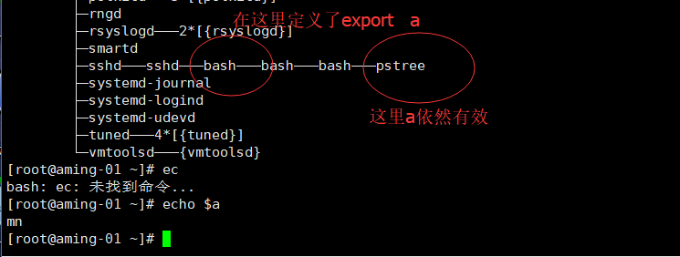 第八章 Linux Shell基础