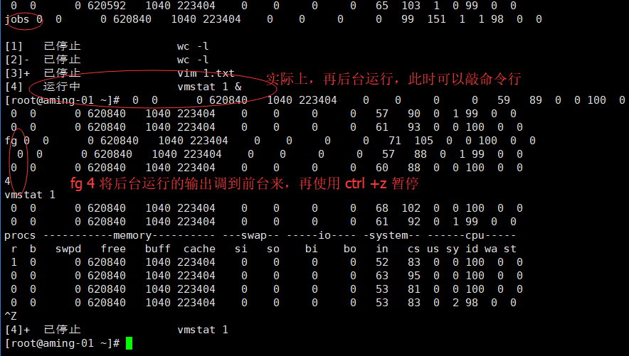 第八章 Linux Shell基础