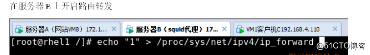 squid代理服务器