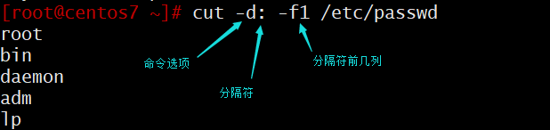 Linux文本编辑命令