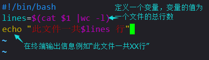 LinuxShell脚本从入门到比入门强一点点的坎坷之路