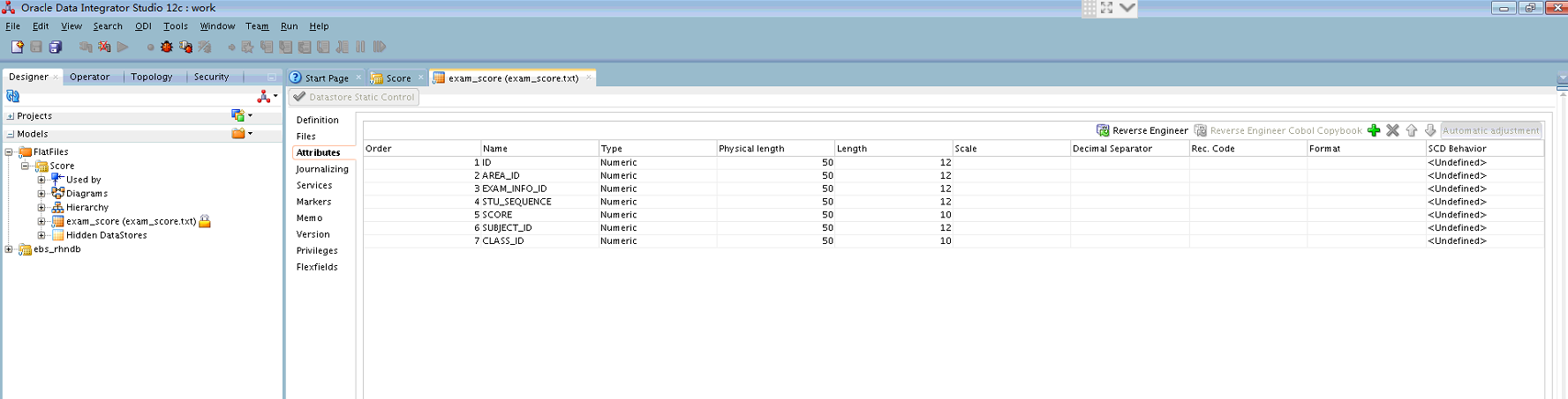 Loading Data From File To Table By ODI 12c