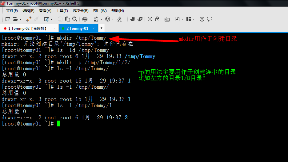 相对和绝对路径、cd、rm命令