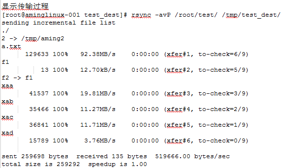 rsync