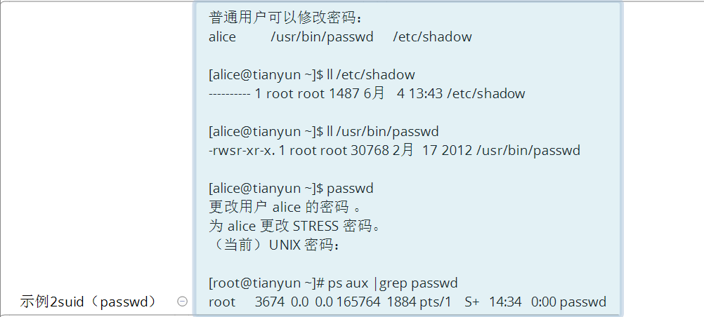 Linux系统配置及服务管理_第05章高级权限