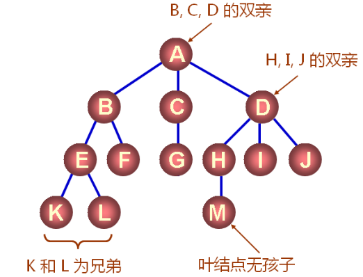 数据结构（十三）——树