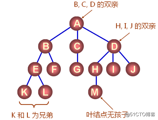 數據結構（十三）——樹