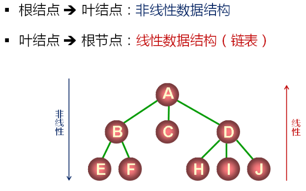 数据结构（十三）——树