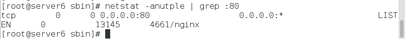 nginx