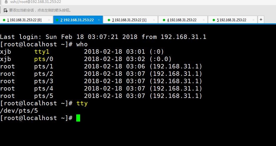 linux 系统tty、pty和pts 的概念及区别