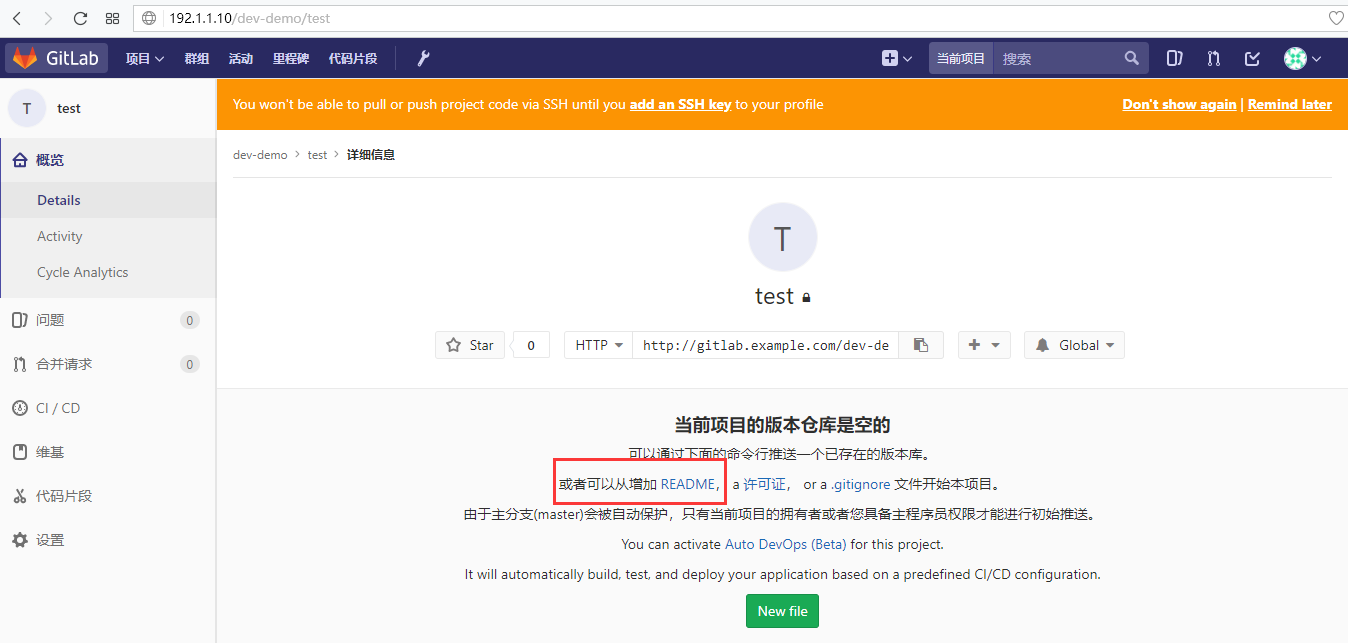 Gitlab 10.5版本的部署使用及汉化