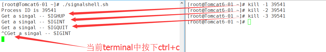 linux信号解释（5）--bash下的理解