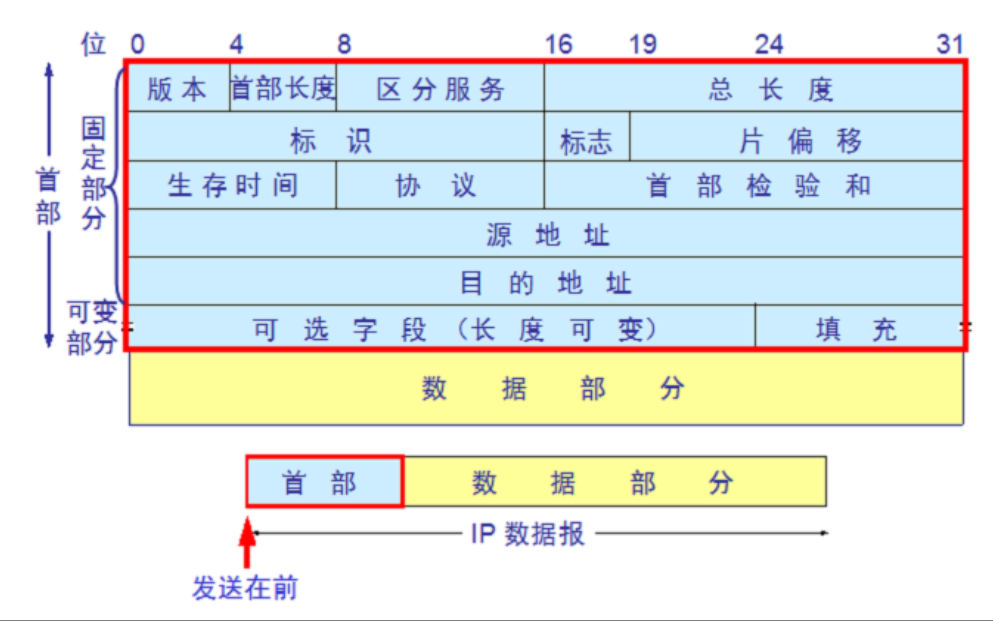 IP编址