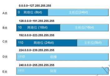 IP编址