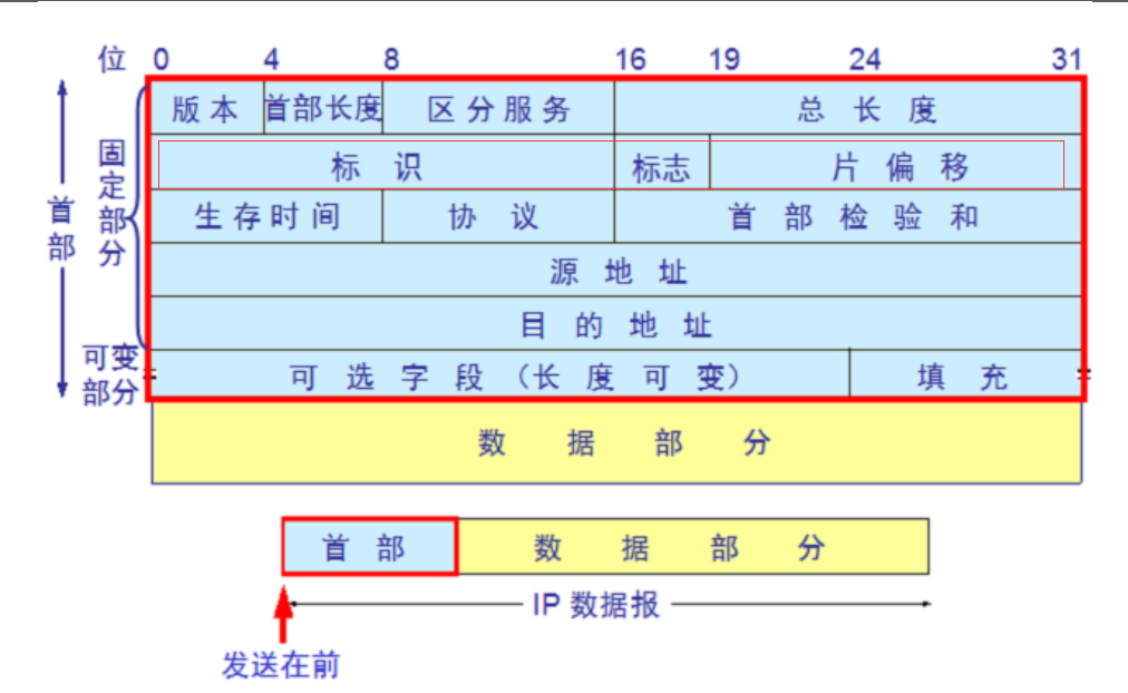 IP编址