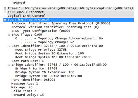 STP生成树 概述