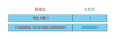 IP编址