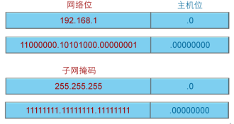 IP编址