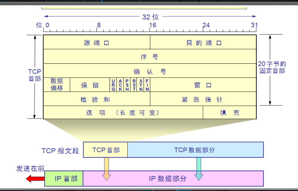 传输层协议