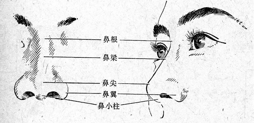 彭州中研艺美向您阐述鼻子微整形进化史