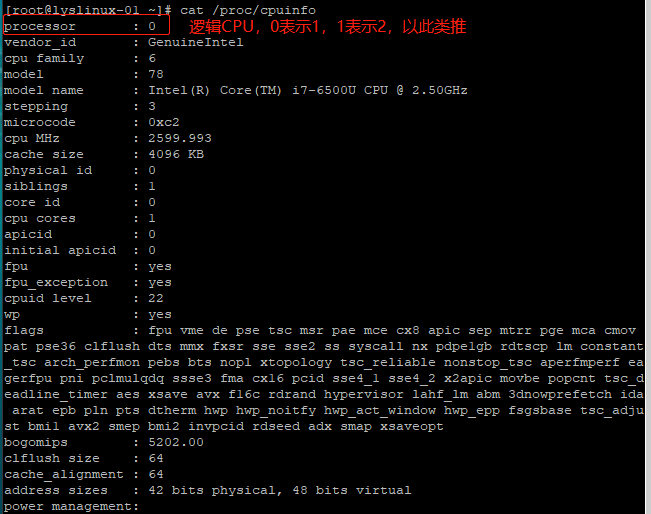 命令 w 、vmstat、top、sar、nload