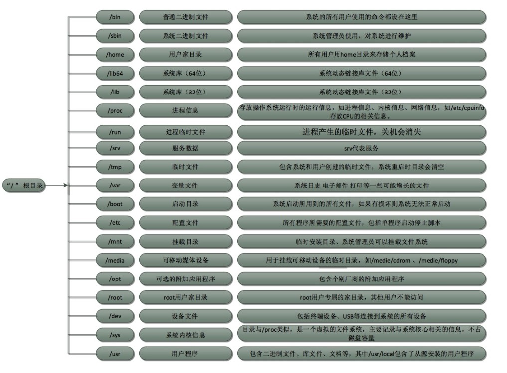 2.1/2.2 系统目录结构 2.3 ls命令 2.4 文件类型 2.5 alias命令