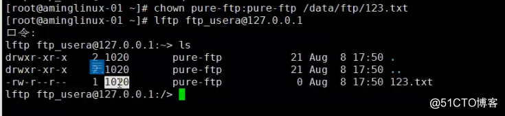 15.4 xshell使用xftp传输文件15.5 使用pure-ftpd搭建ftp服务