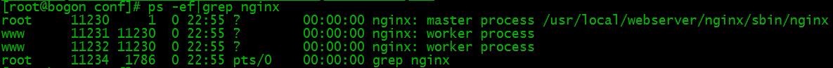 Linux开发之Nginx安装配置