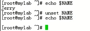 1、shell编程(shell脚本)_理解编程和变量