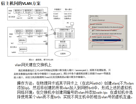 vlan