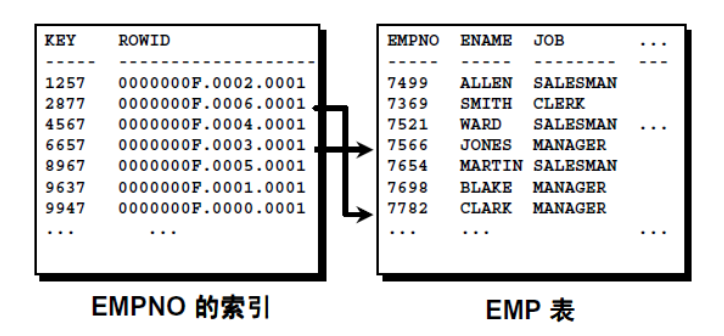 Oracle事务和常用数据对象