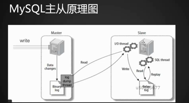 MySQL主从配置