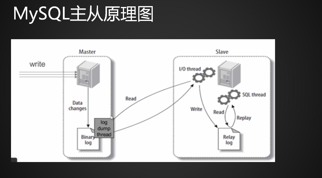 17.1 MySQL主从介绍17.2 准备工作17.3 配置主17.4 配置从17.5 测试主从同步