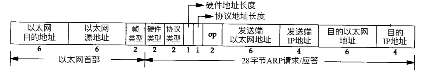 HCNA_ARP和ICMP