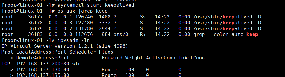 18.11 LVS DR模式搭建18.12 keepalived + LVS