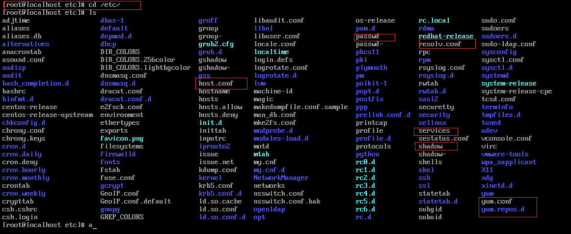 Linux基础（层级结构、基础命令）