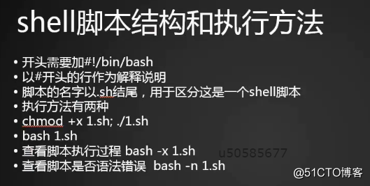 shell介绍