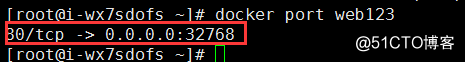 Docker 容器部署Apache靜態網站