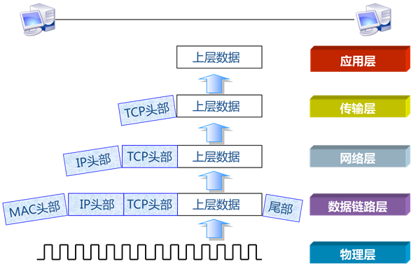 网络参考模型