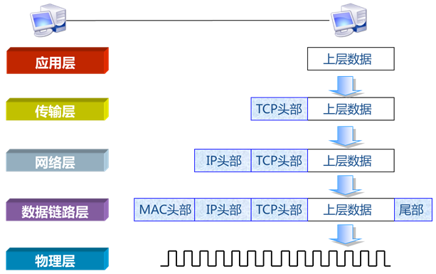 网络参考模型