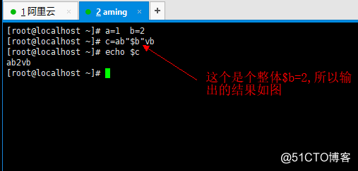 8.6 管道符和作业控制 8.7/8.8 shell变量 8.9 环境变量配置文件